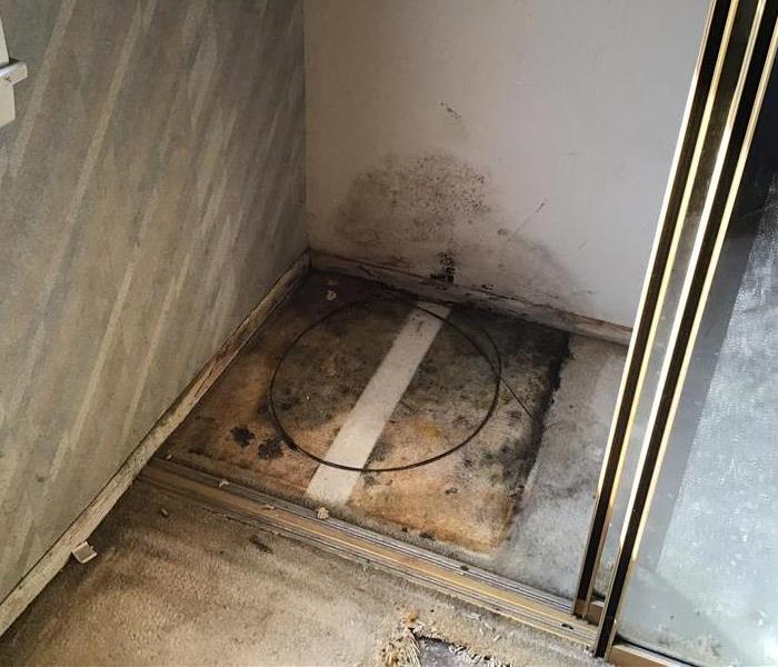Shower with a moldy floor.